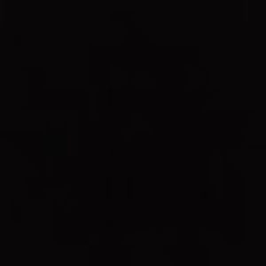 Meet your Posher, Victorya